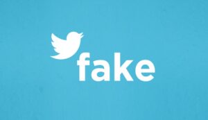 Reporting Fake Twitter Accounts