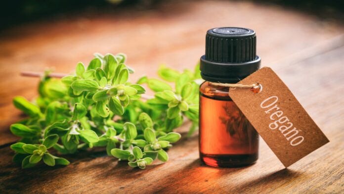 Wellhealthorganic.com Health Benefits And Side Effects Of Oil Of Oregano