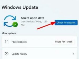 Select the “Check for Updates” button on the right side