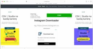 Save Instagram video using online solutions